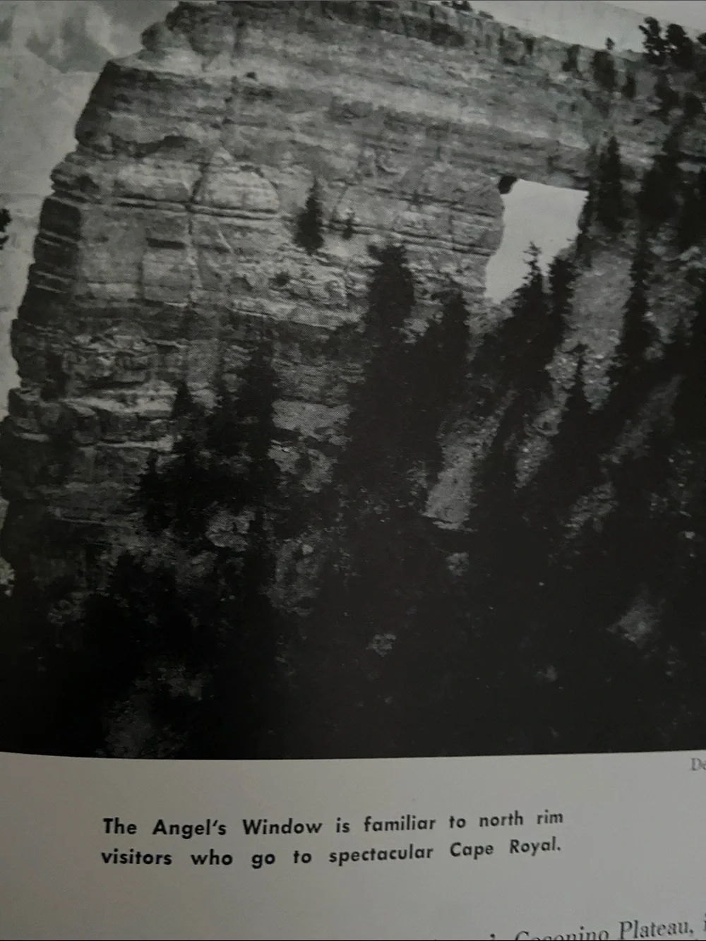 Vintage 1960s 60s USA U.S. American National Park & Monuments book Parks America